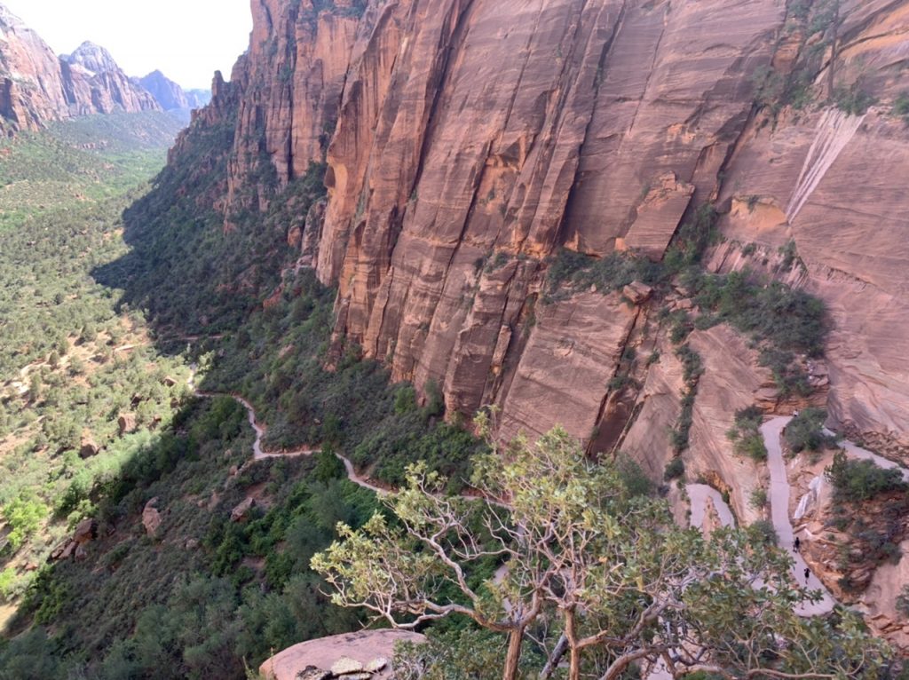 Zion National Park