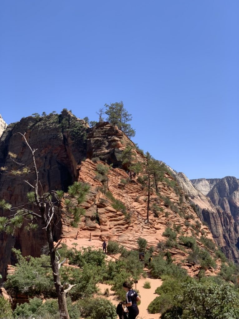 Zion National Park